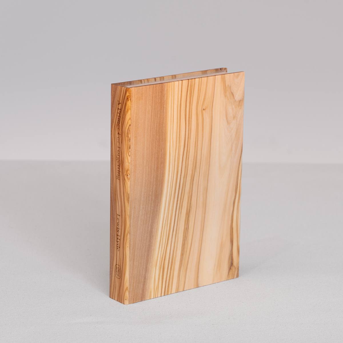 Fragment: A Primer for Forgetting: Getting Past the Past by Lewis Hyde 1/7 by Adam Geluda Gildar 