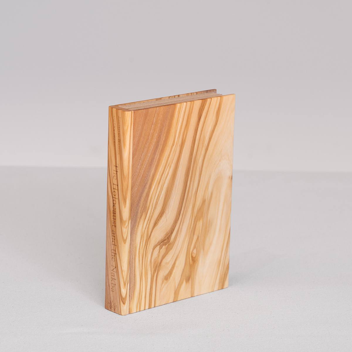 Fragment: The Holocaust and the Nakba: A New Grammar of Trauma Edited by Bashir Bashir and Amos Goldberg 1/7 by Adam Geluda Gildar