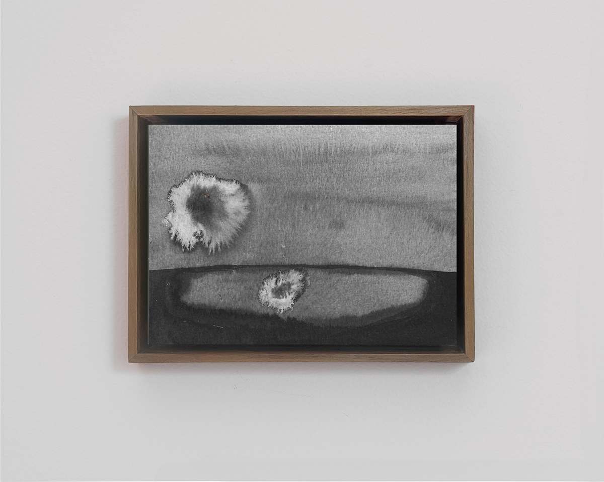 Narcissus by Adam Geluda Gildar 