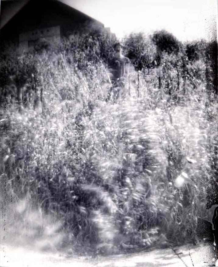 Forest Dweller by Sam Borden, Image 2.