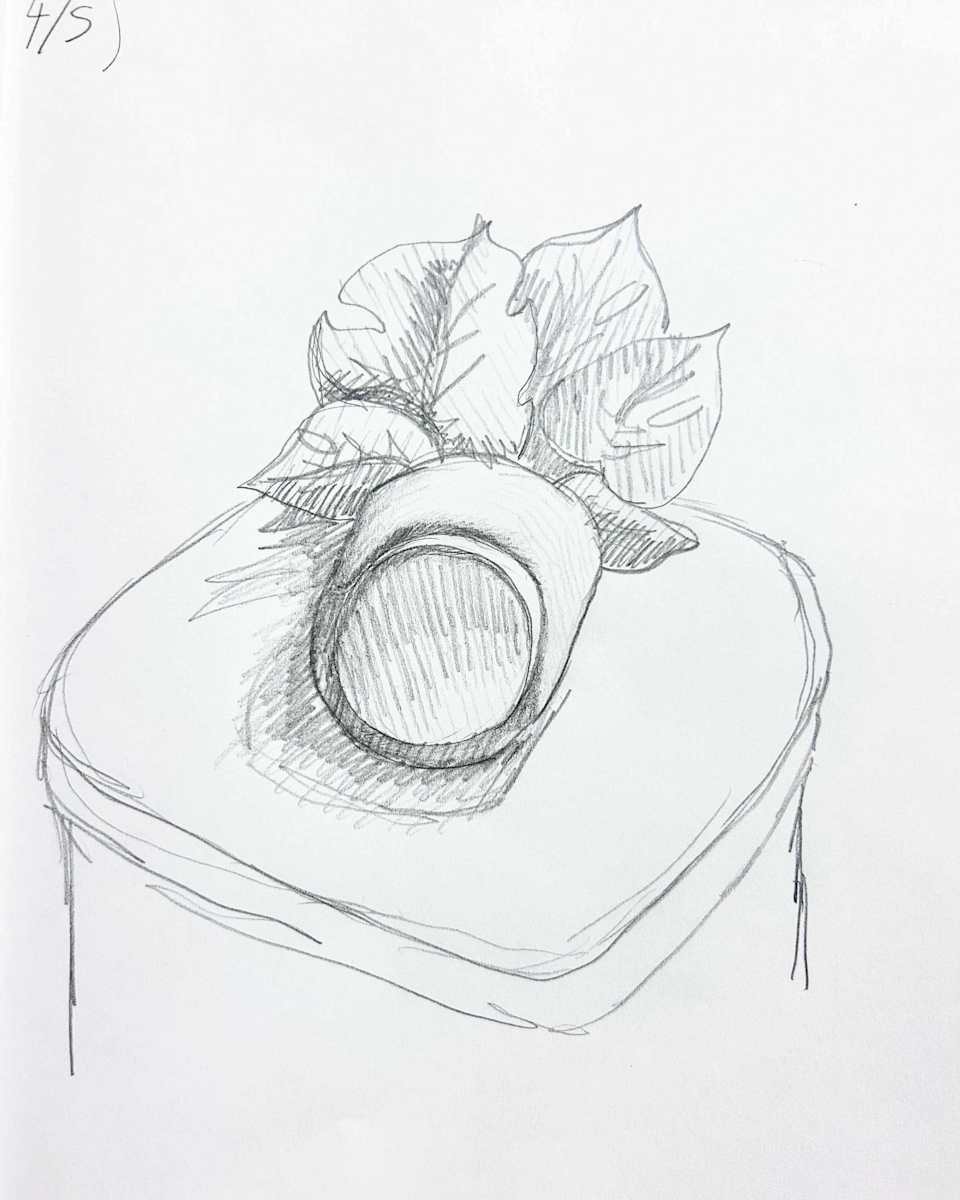 Plant Study 4/5 by Sam Borden, Image 1.