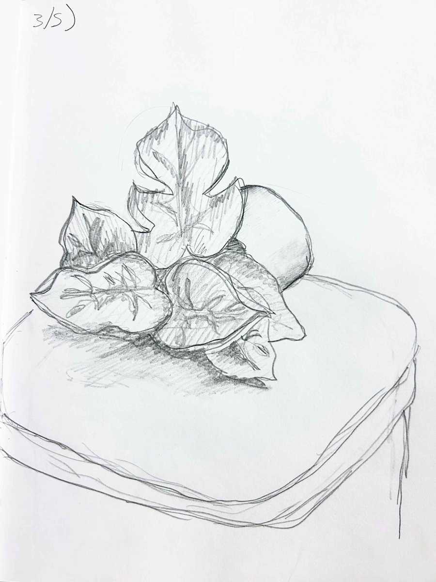 Plant Study 3/5 by Sam Borden, Image 1.
