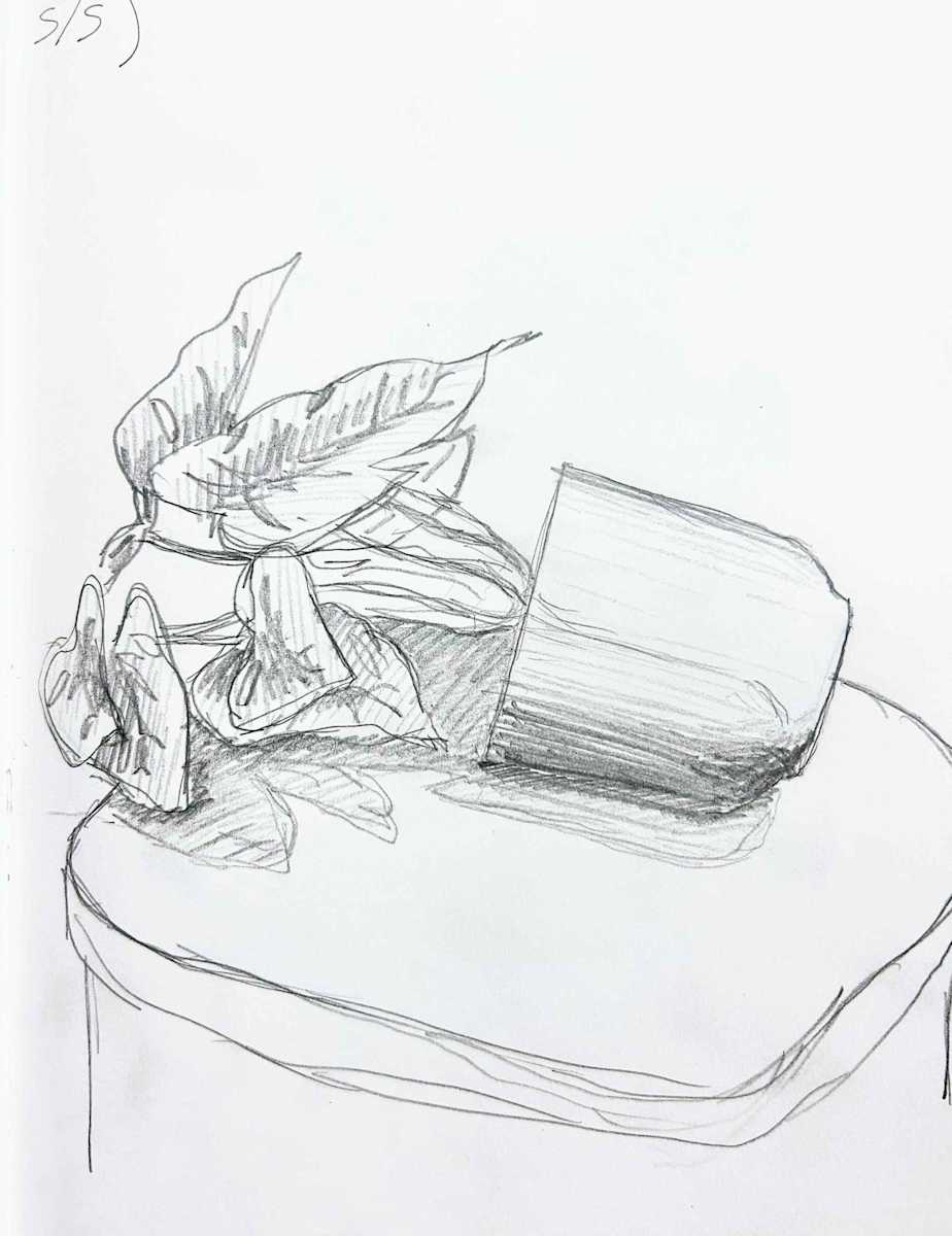 Plant Study 5/5 by Sam Borden, Image 1.