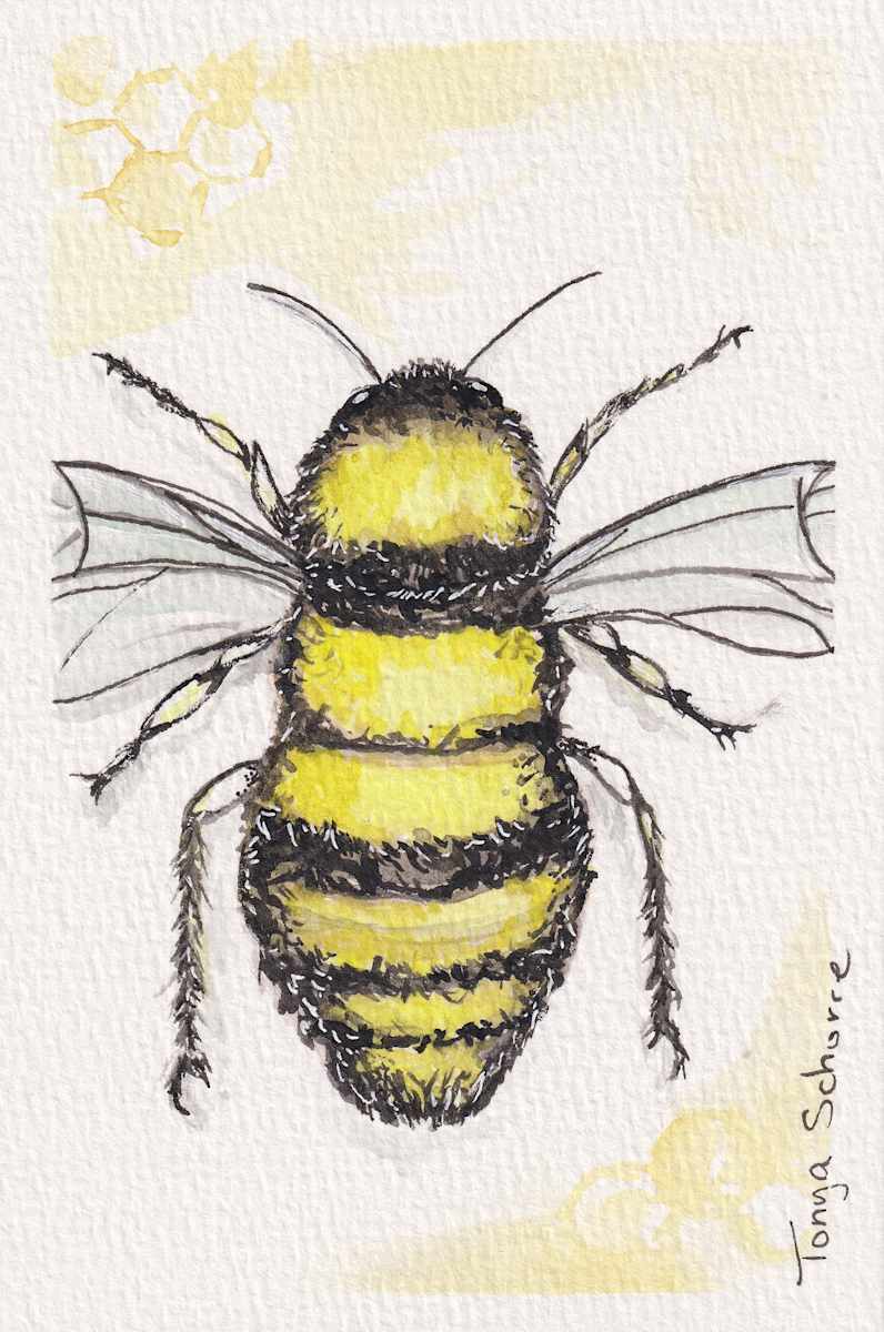 Bee Close by Tonya Schorre, Image 3.