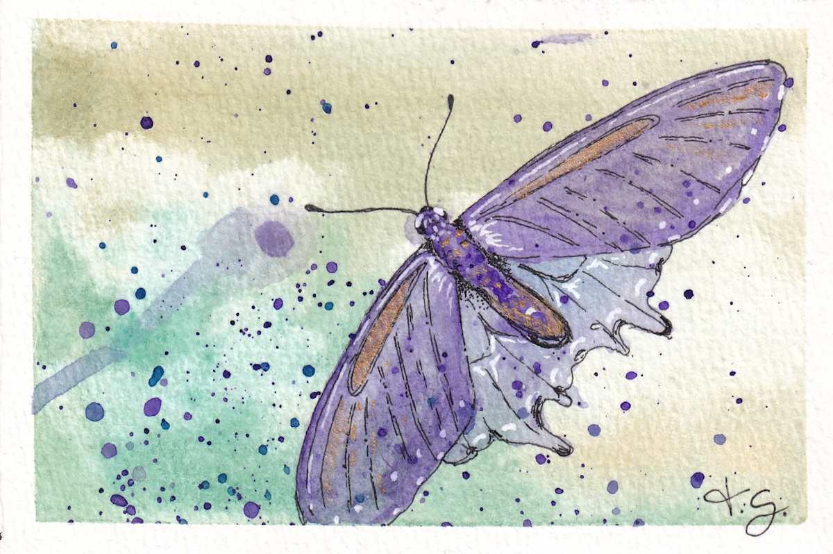 Postcard From A Friend by Tonya Schorre, Image 5.