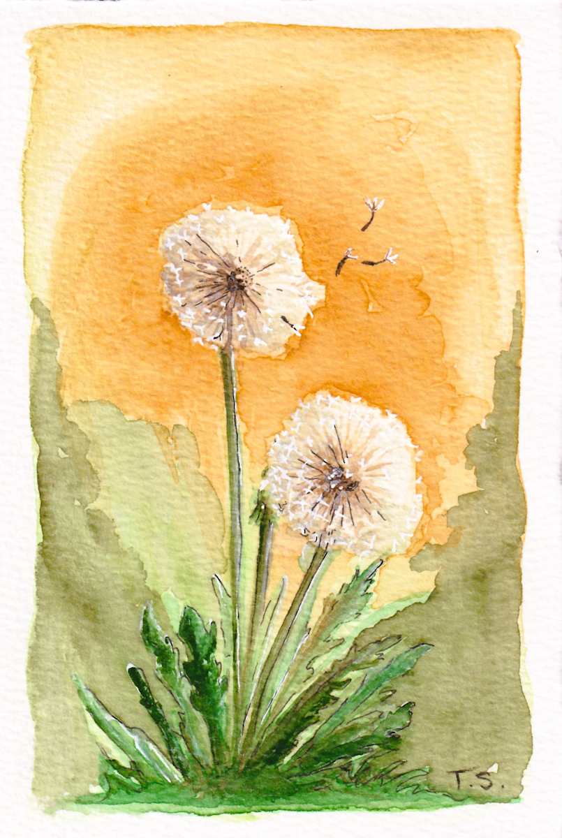 Dandies by Tonya Schorre, Image 1.