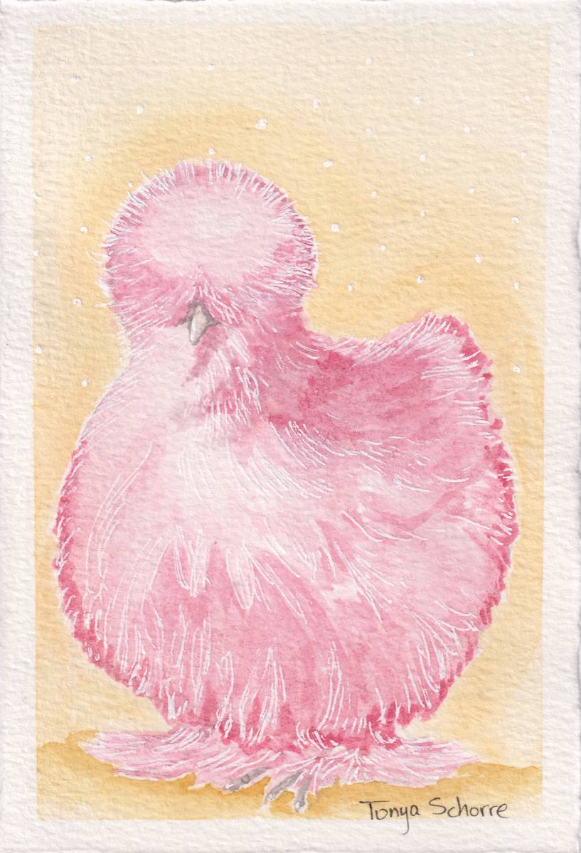Dark Pink Silkie Chicken by Tonya Schorre 