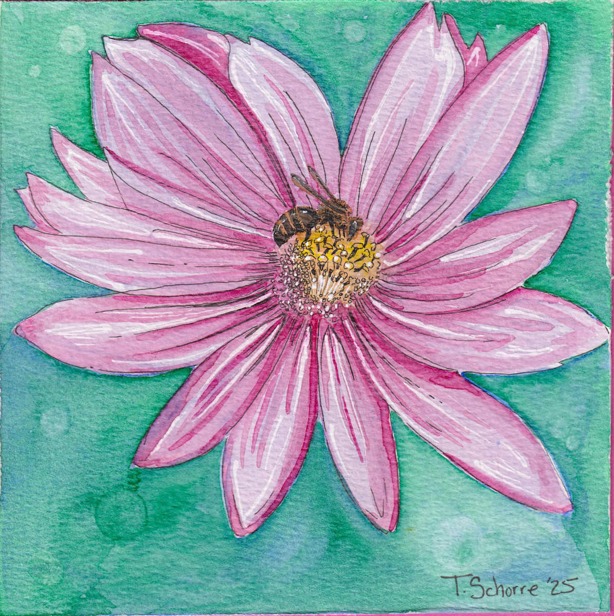 Pink Daisy with Bee by Tonya Schorre 
