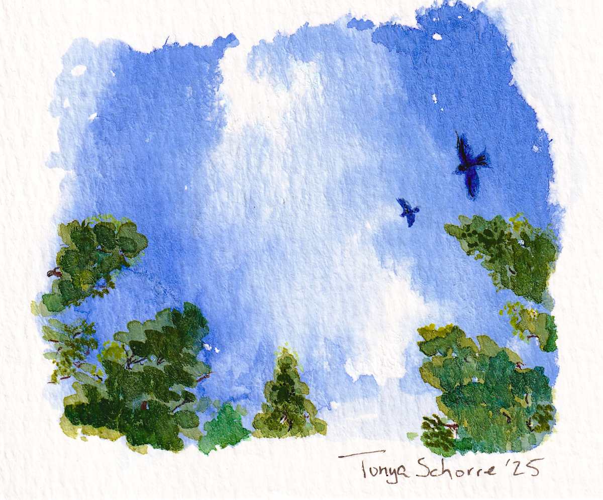 Looking Up by Tonya Schorre  Image: Looking Up - watercolor and ink