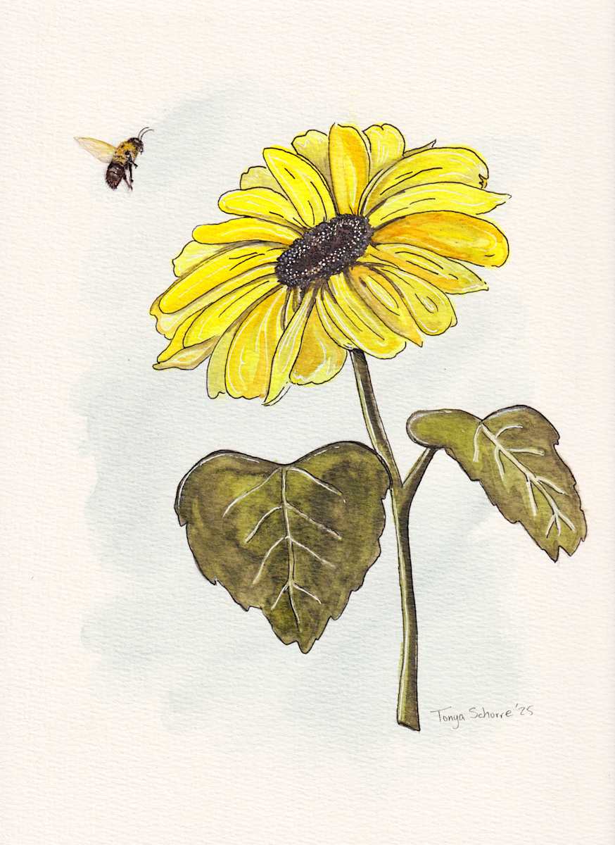 Springtime Dance by Tonya Schorre, Image 1.