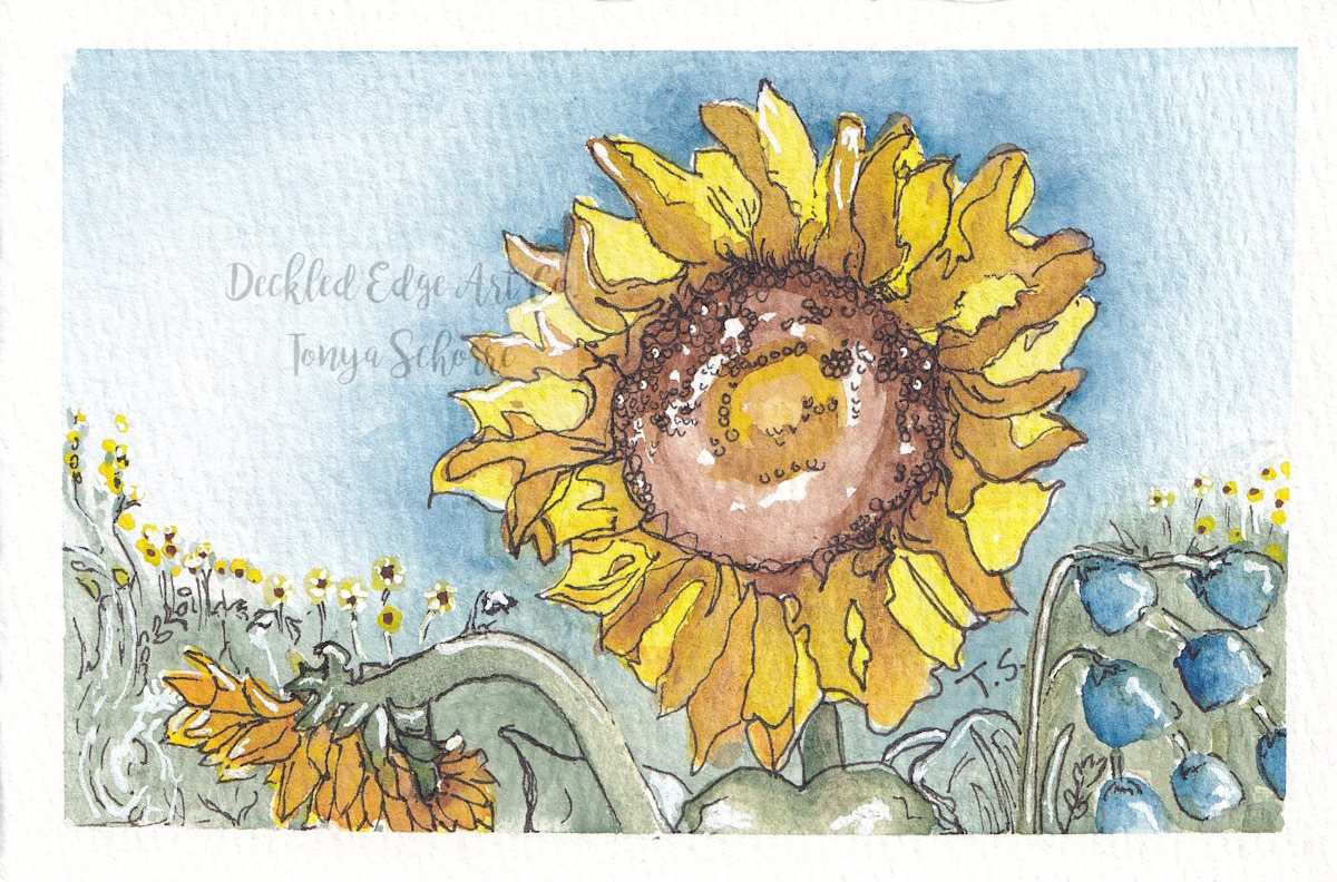 In the Sun by Tonya Schorre  Image: In The Sun is a depiction of a vibrant sunflower standing proud in the field being caressed by the warmth of the sun.  Celebrate the elegance of sunflowers and invite summer's spirit into your home with this captivating piece, ideal for art enthusiasts and nature lovers.