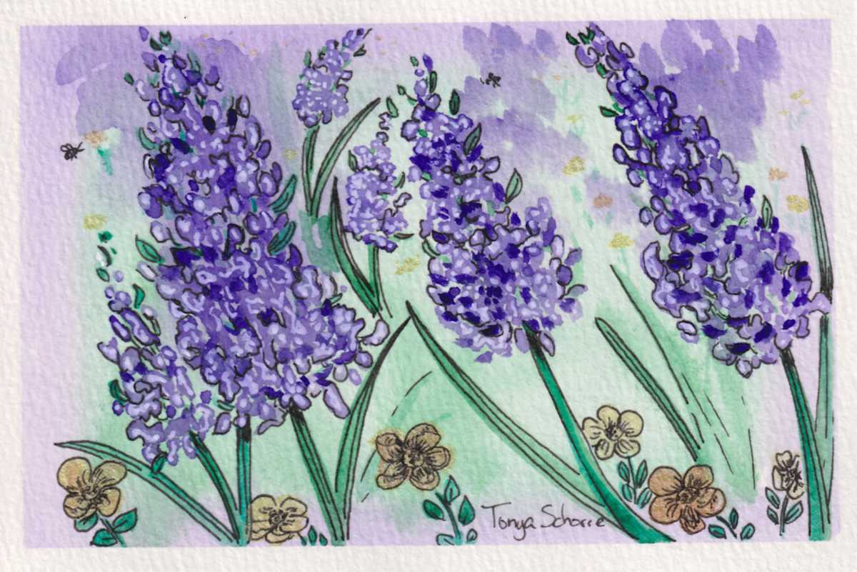 Syringa in Bloom by Tonya Schorre 