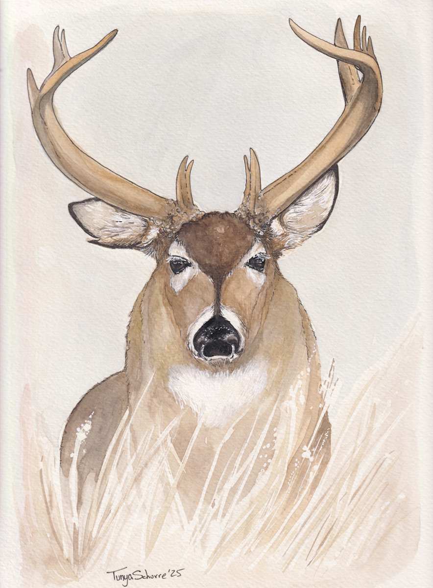 The One That Got Away by Tonya Schorre 