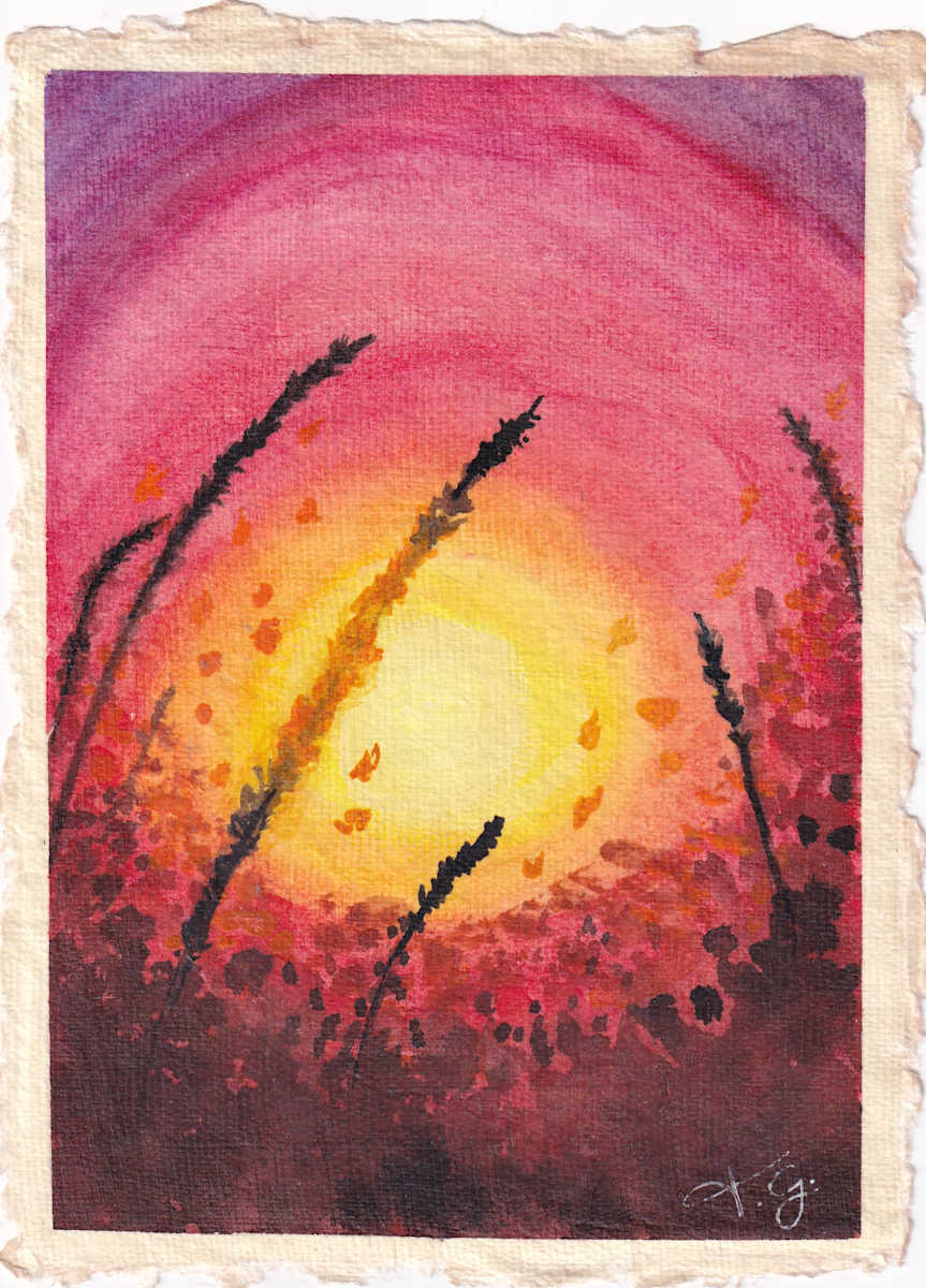 Wheat at Sunset by Tonya Schorre 