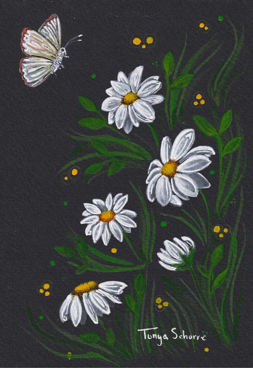 The Moth and the Daisies by Tonya Schorre  Image: The Moth and the Daisies