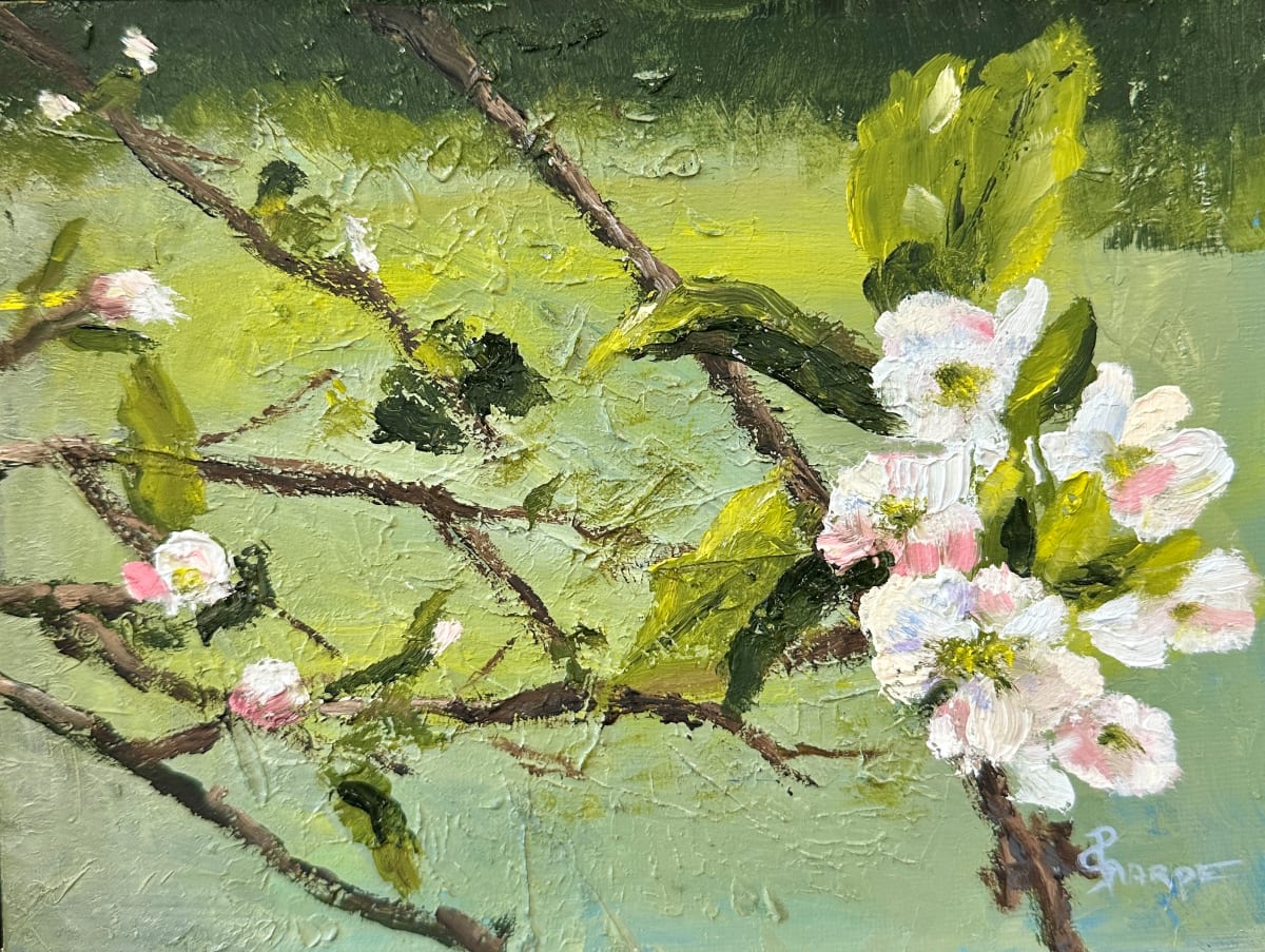 Apple Tree Bloom by Phyllis Sharpe 