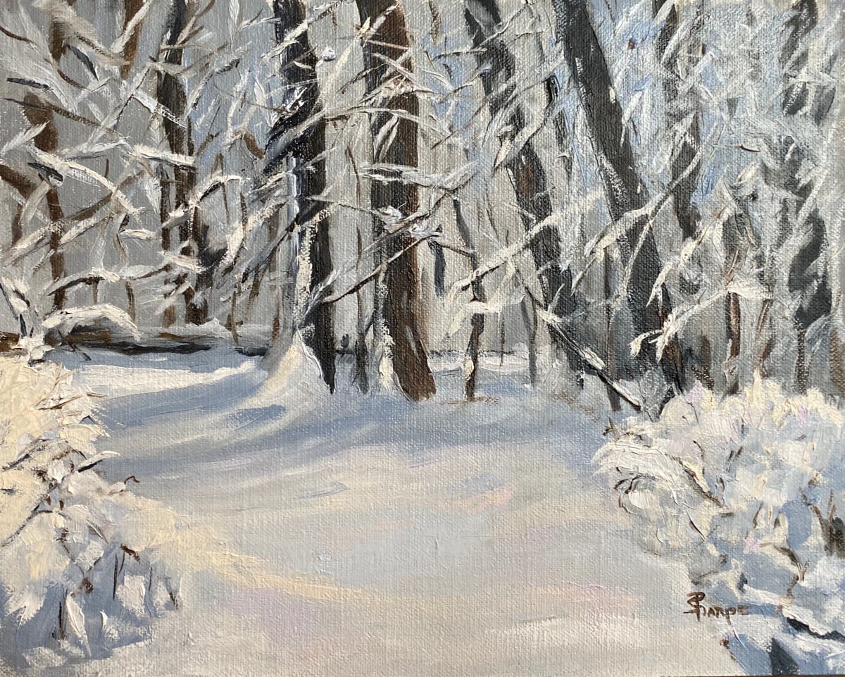 Winter Snow, Image 1.