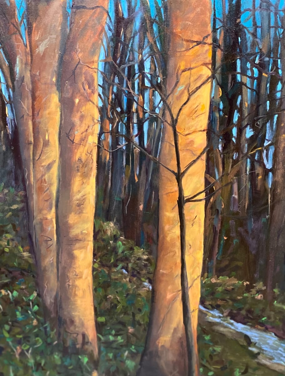Dusk Reflections, Image 1.