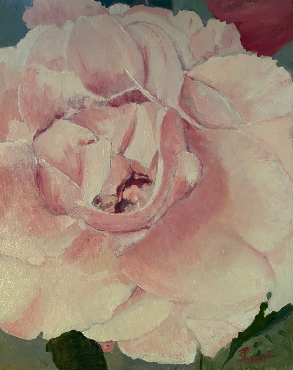 Rose Interior 