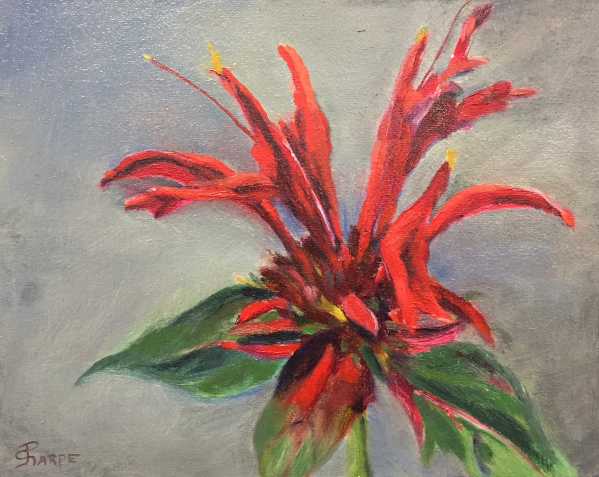 Lobelia Cardinalis by Phyllis Sharpe 