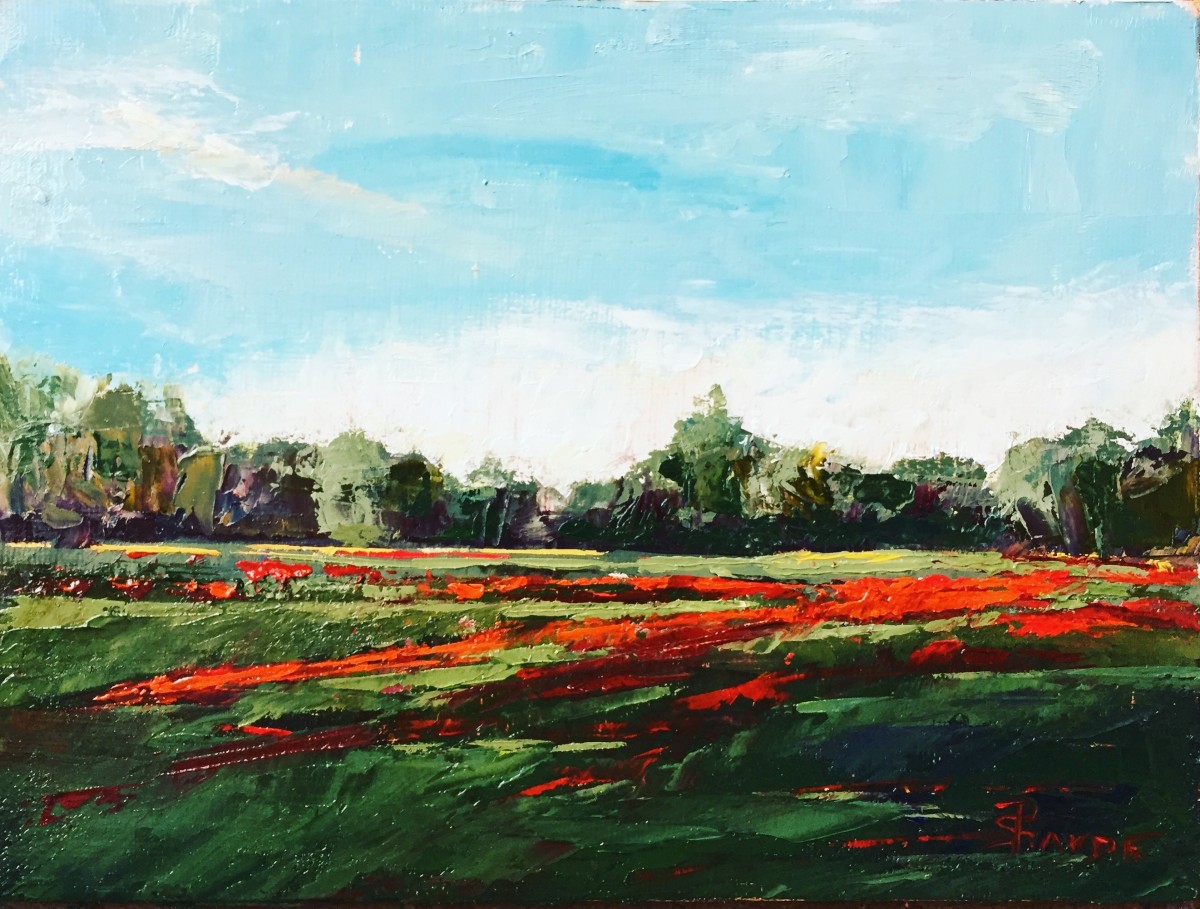 Poppy Field by Phyllis Sharpe 