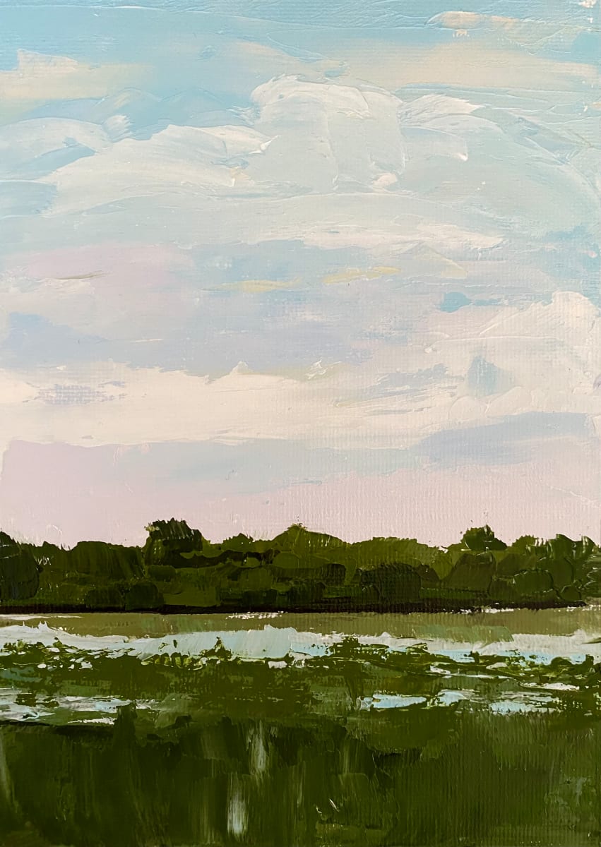 Marsh Vision, Image 5.