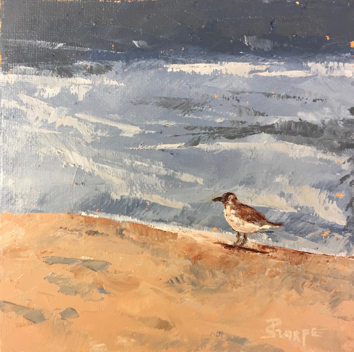 Shore Bird by Phyllis Sharpe 