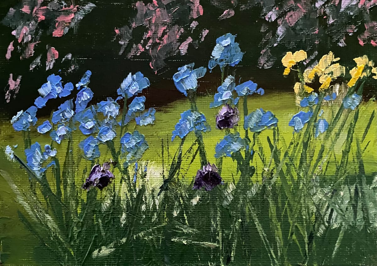 Blue Iris by Phyllis Sharpe 