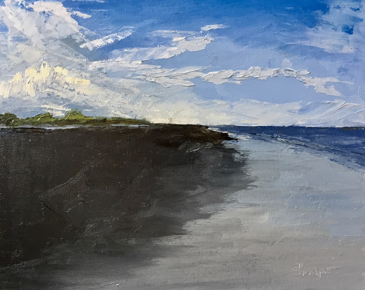 Seabrook Island by Phyllis Sharpe 