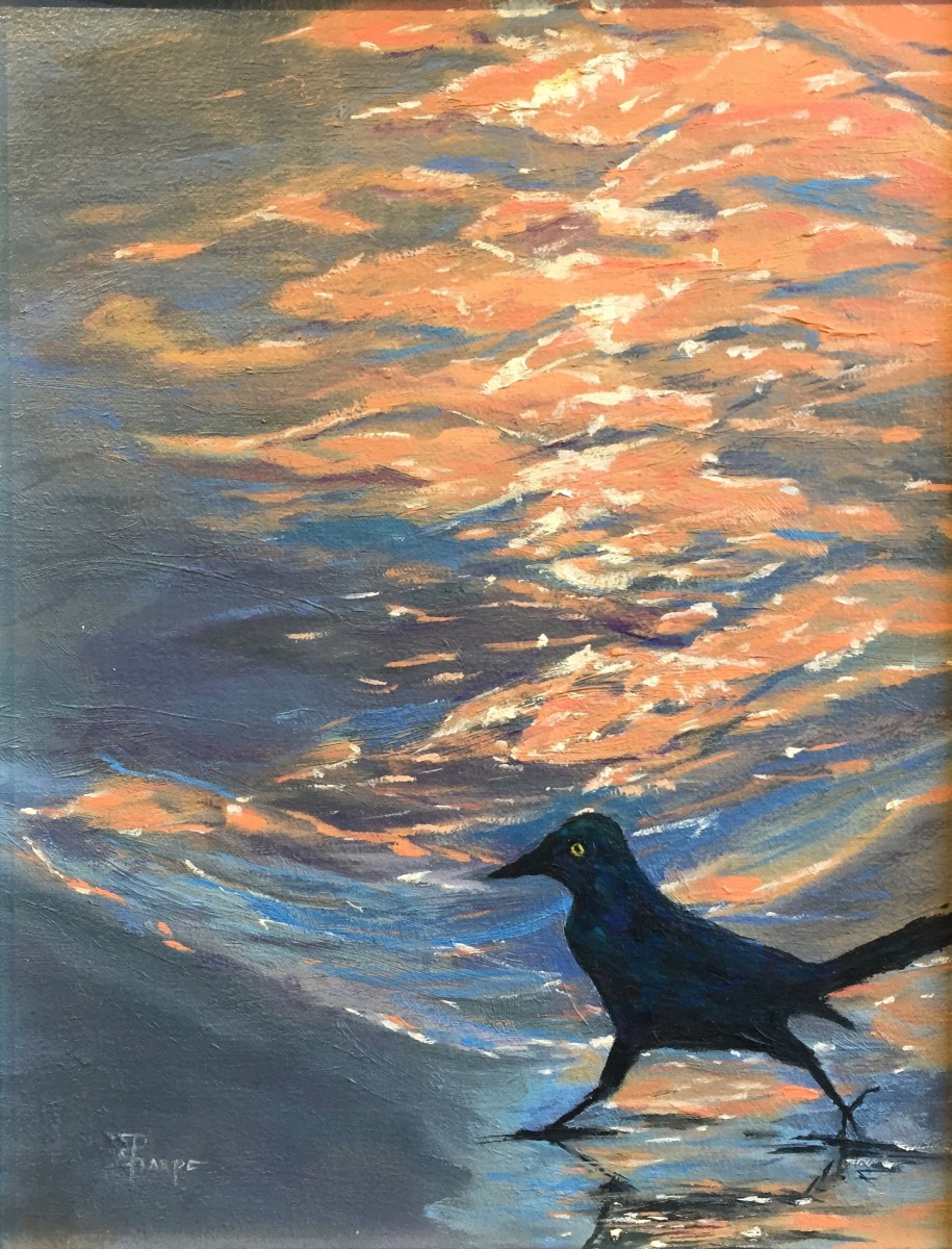 A Windfall of Gulls & Grackles by Phyllis Sharpe 