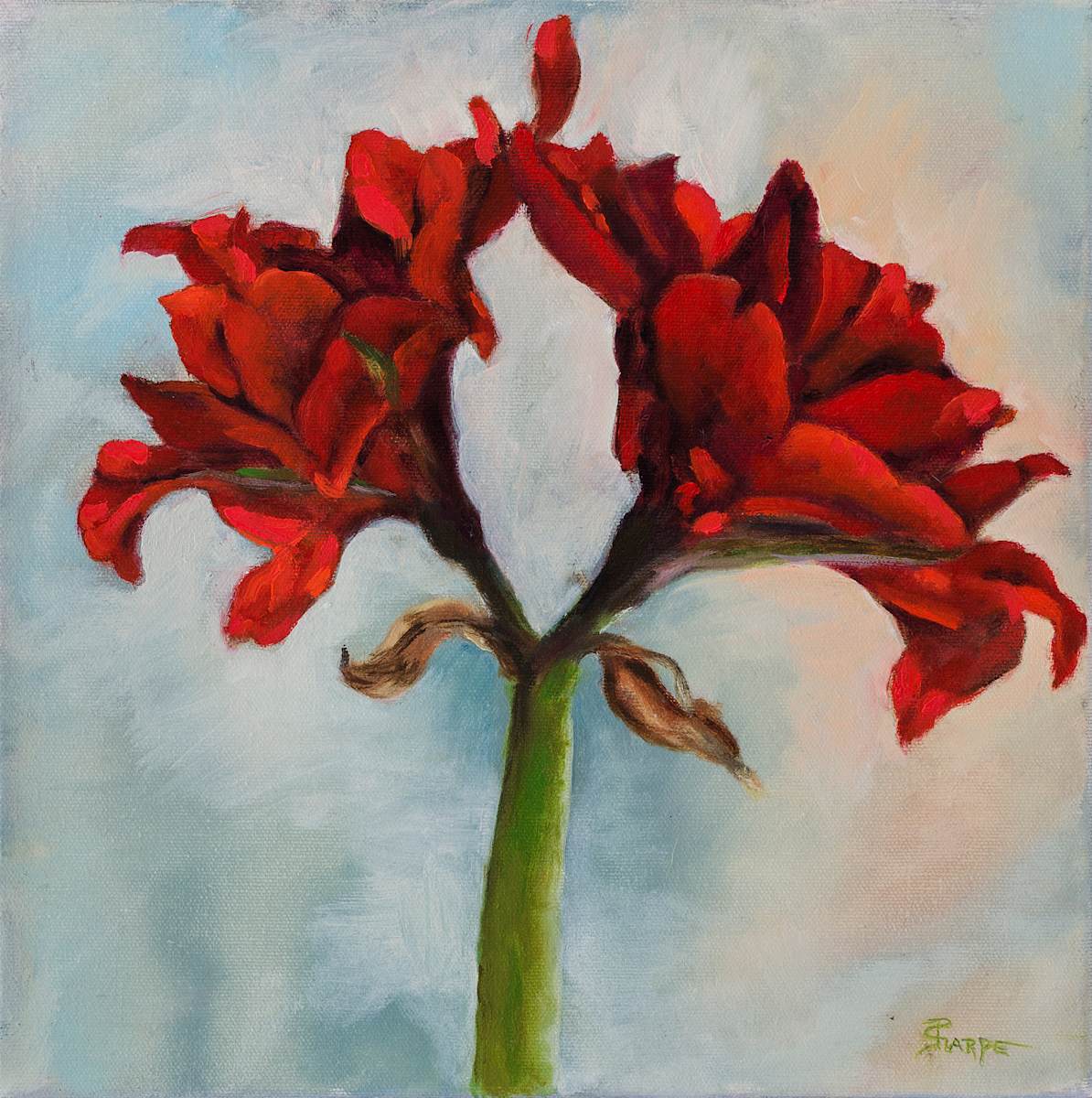 'Ann's Gift' by Phyllis Sharpe, Image 1.