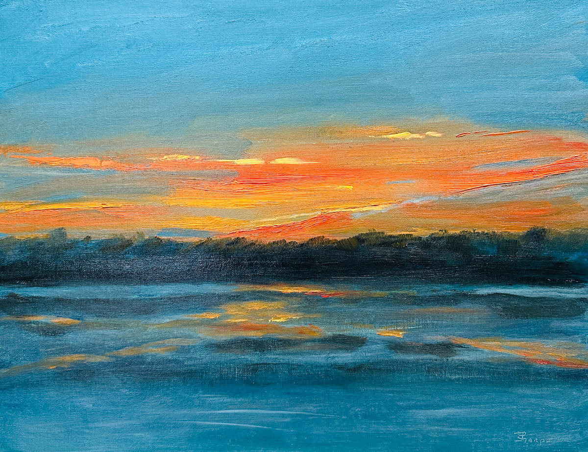 Before the Light Disappears by Phyllis Sharpe 
