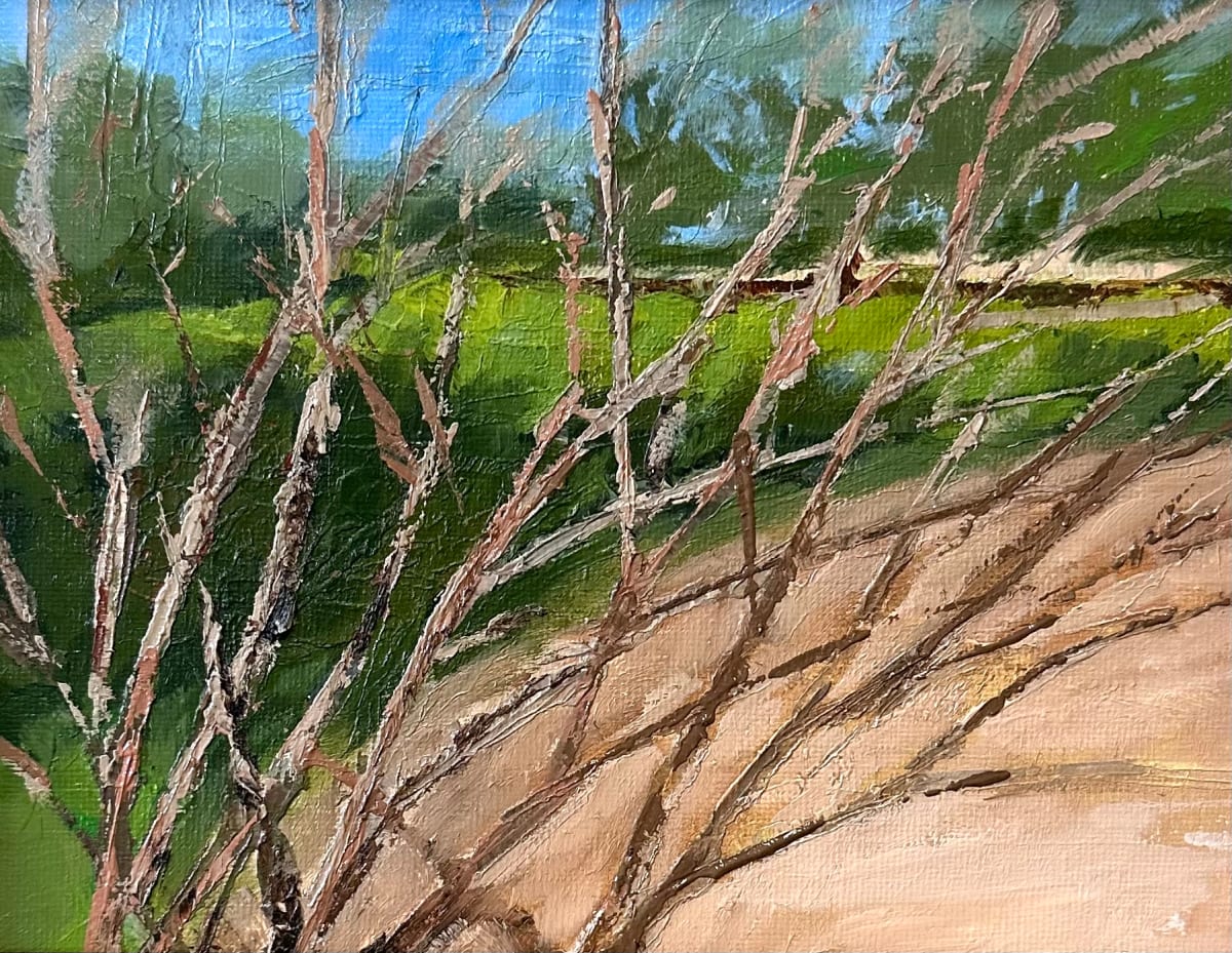 Crepe Myrtle View by Phyllis Sharpe 