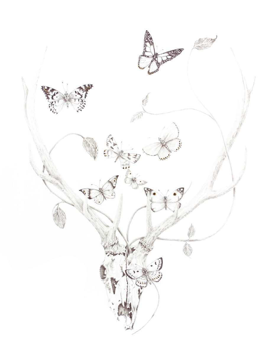 Beautiful Decay by Susan K. Theroff 