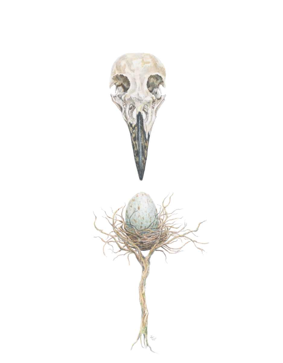 Hatching Mortality by Susan K. Theroff 