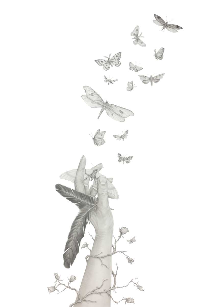 Catching Truth by Susan K. Theroff 
