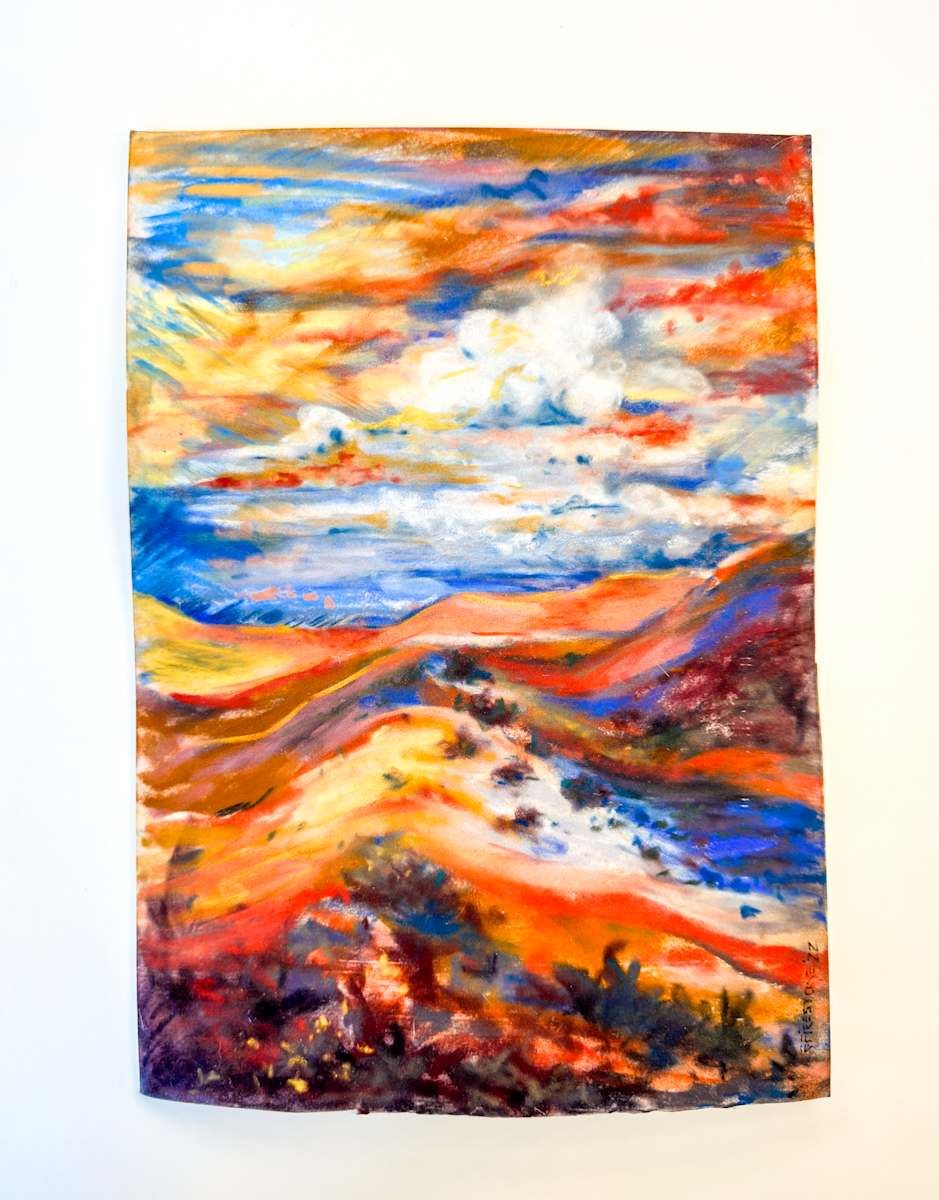 Desert Shadows by Robbi Firestone 