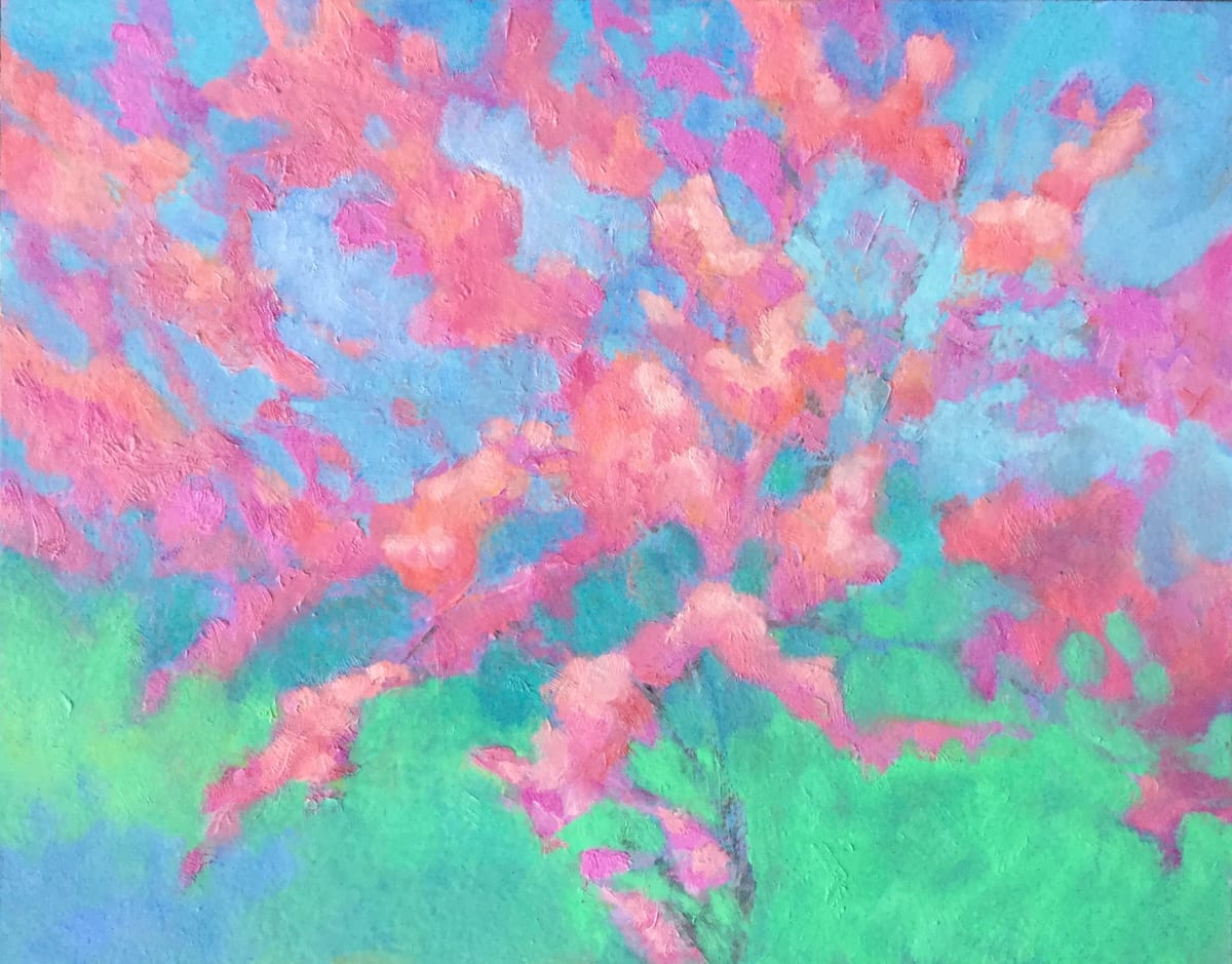 Radiant apple blossoms, en plein air (11x14") by Carrie Lacey Boerio 