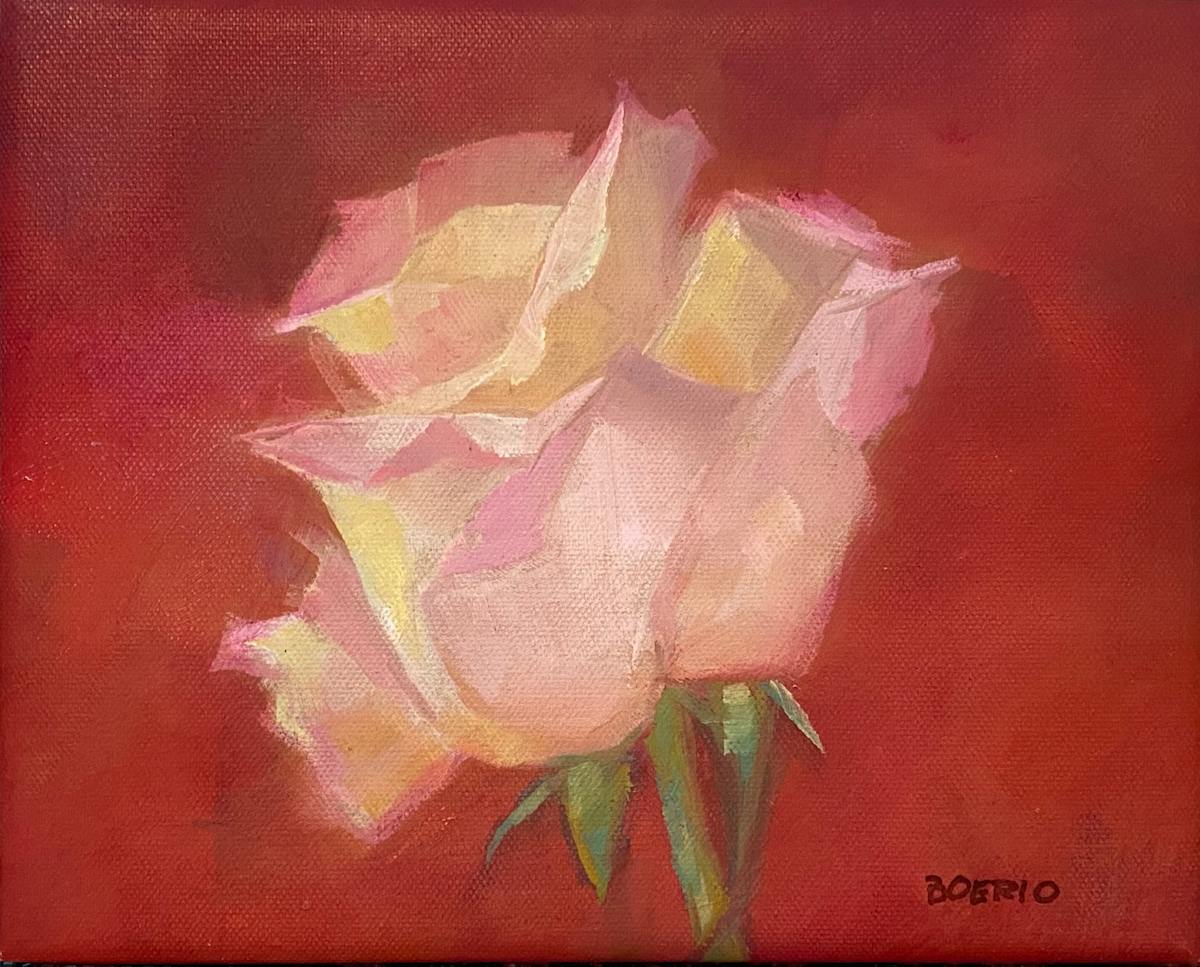 Soft Rose Study (framed) by Carrie Lacey Boerio, Image 1.