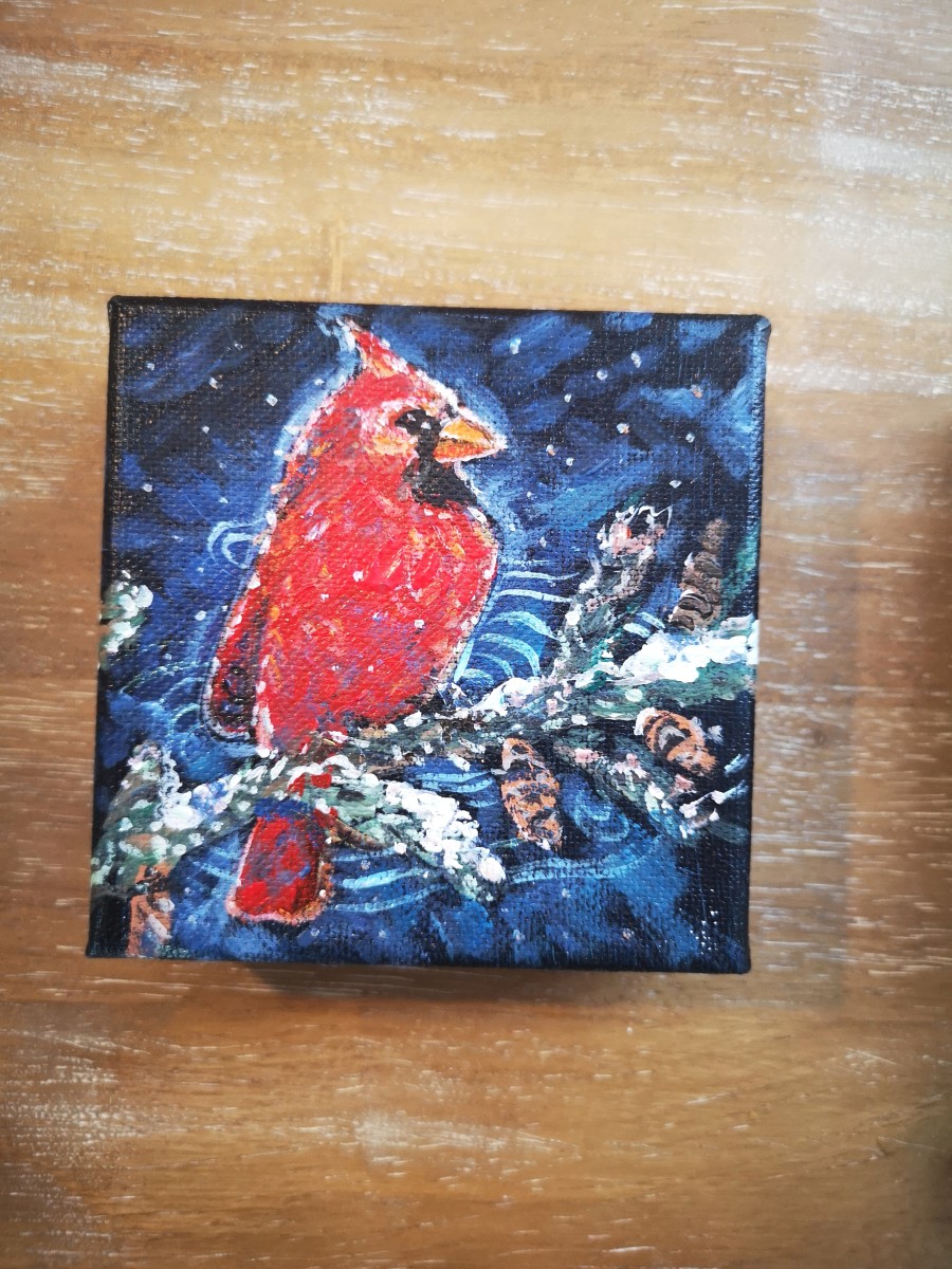 Night Cardinal by Stephanie McGregor 
