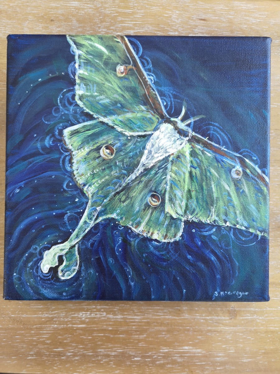 In the Night by Stephanie McGregor 