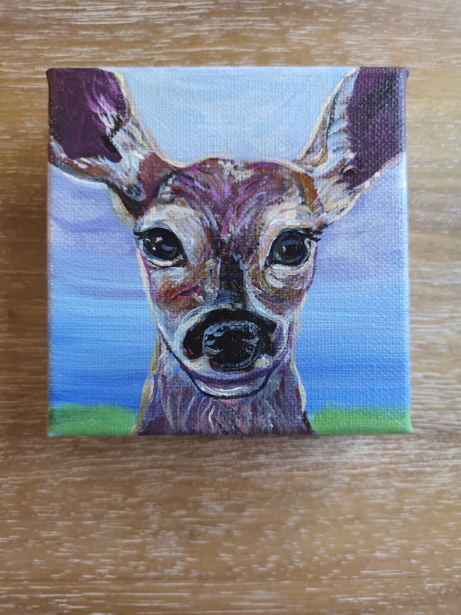 Fawn 