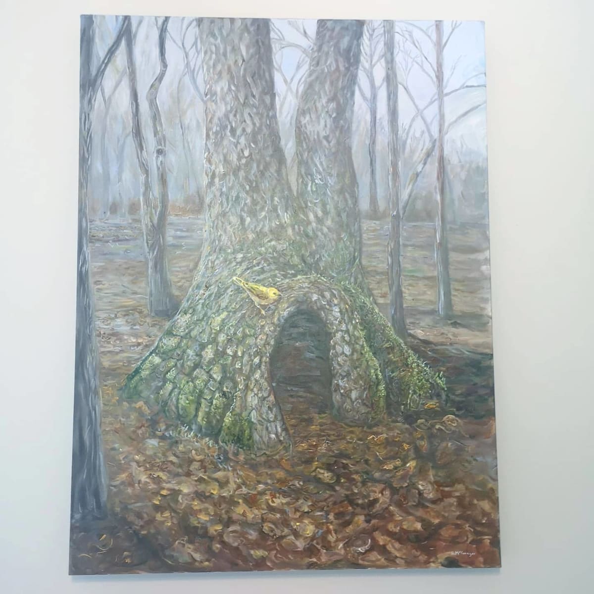 In Search of the Sun 