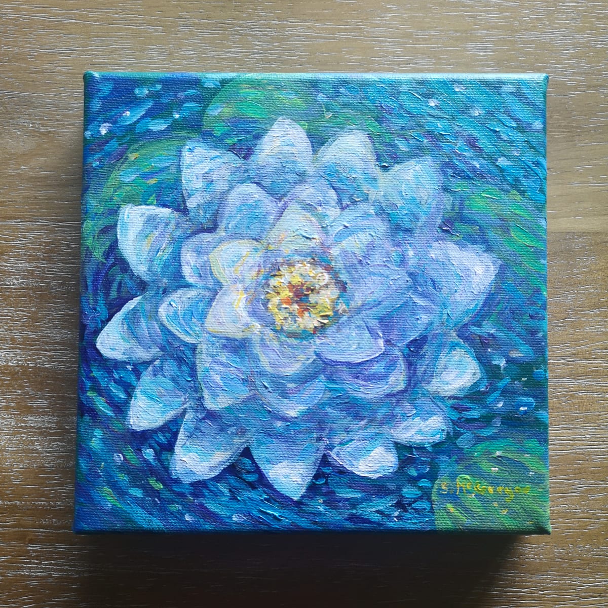 Water Lily 