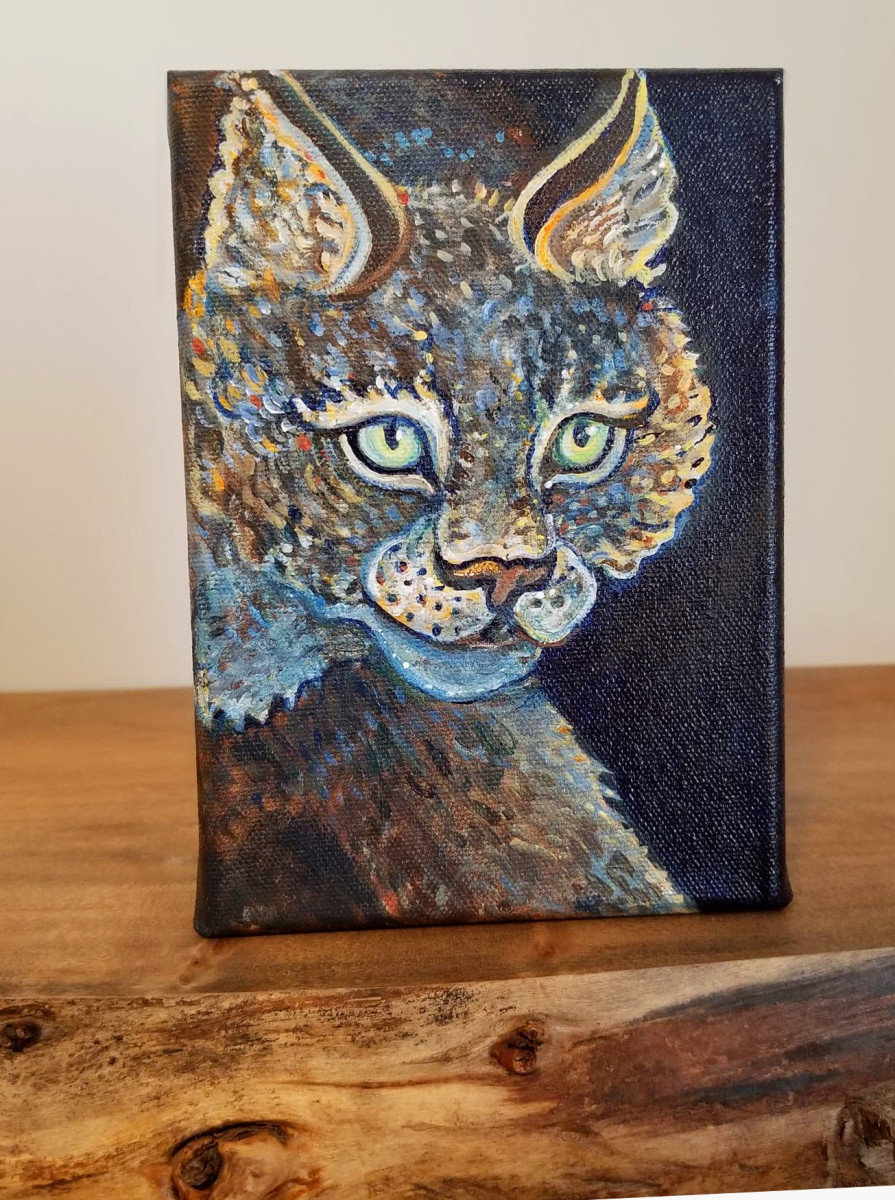 Wonder by Stephanie McGregor 