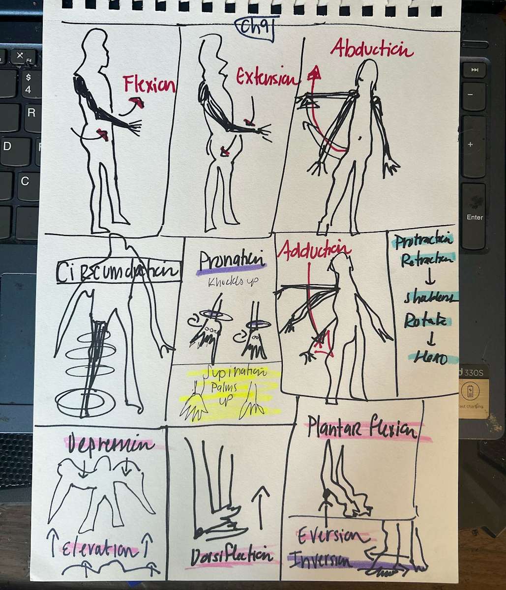 Biology Class Notes 2 by BFA Quicksand 