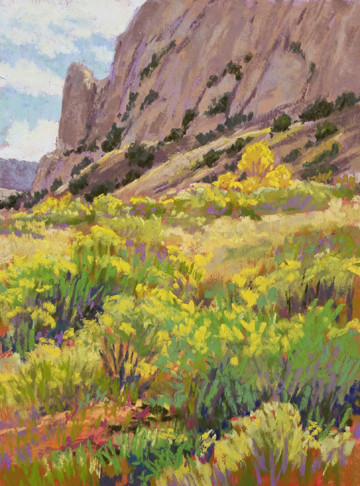 Canyon Blooms by Lee McVey 