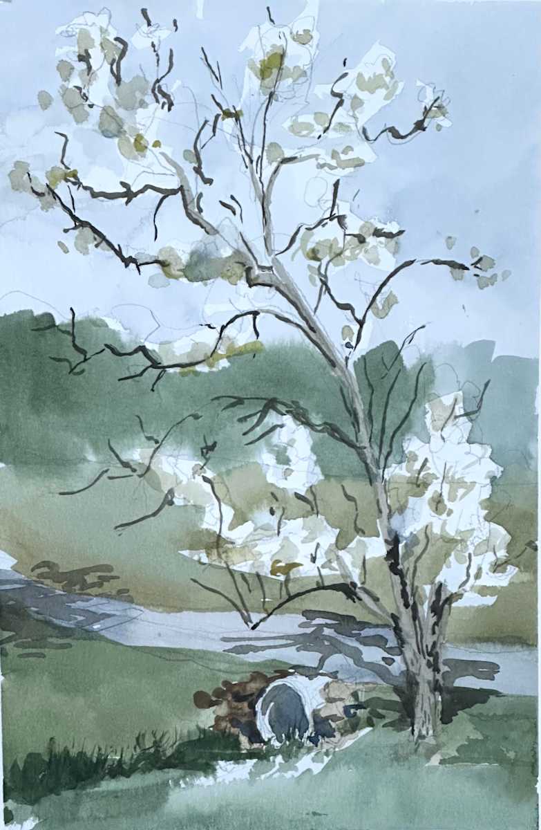 Blossoms at Kuerners by Christopher Bohn, Image 1.