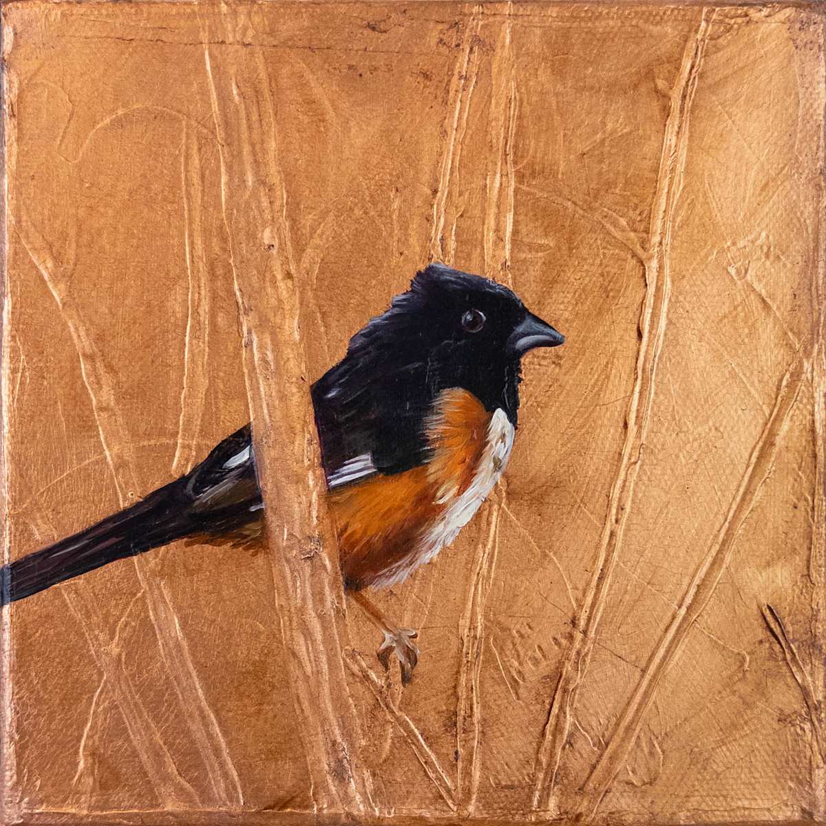 Nestled in Copper by Katheryn Anne Hande  Image: Nestled in Copper — oil painting of an Eastern Towhee on pure copper leaf with textured branches.