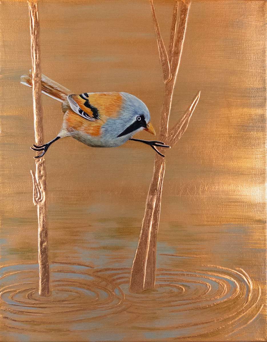 Between the Reeds by Katheryn Anne Hande  Image: Between the Reeds – Painted on pure copper, this work captures the delicate balance and quiet beauty of a bearded reedling pausing above still water.